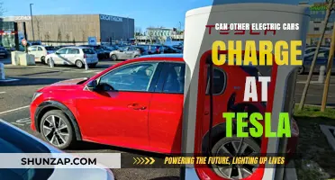 Can Non-Tesla Electric Vehicles Use Tesla Charging Stations?