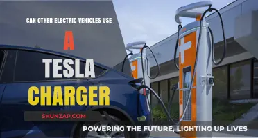 Can Non-Tesla EVs Use Tesla Chargers? Compatibility Explained