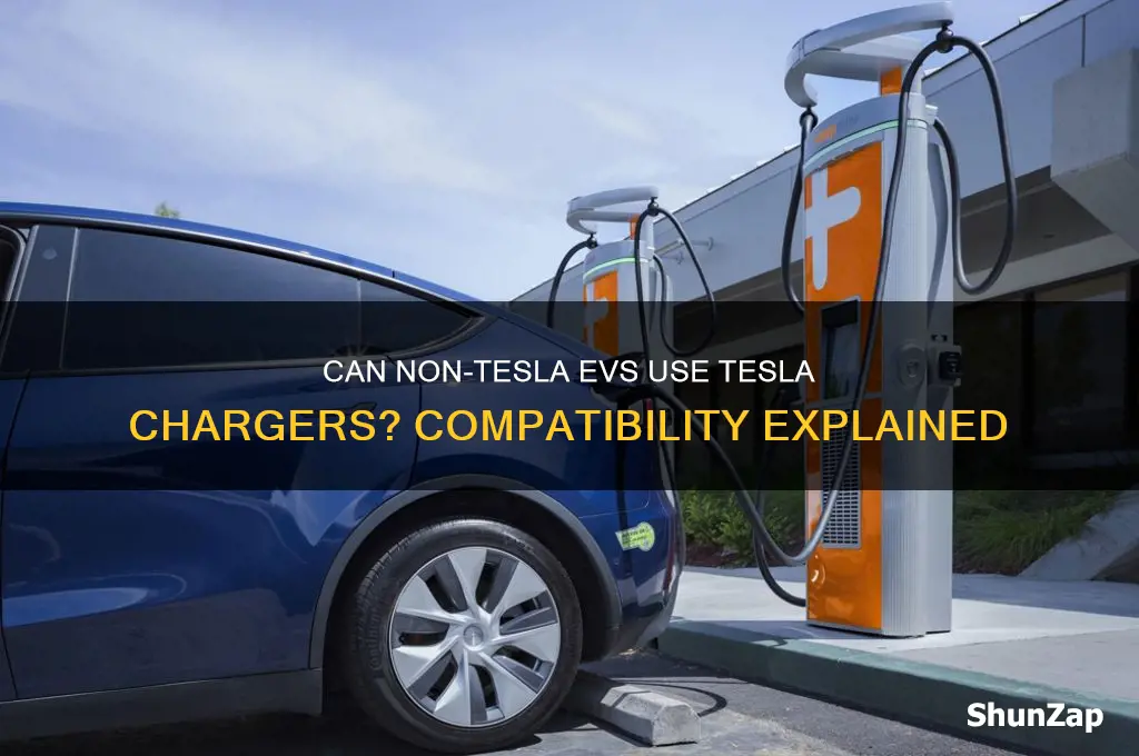 can other electric vehicles use a tesla charger