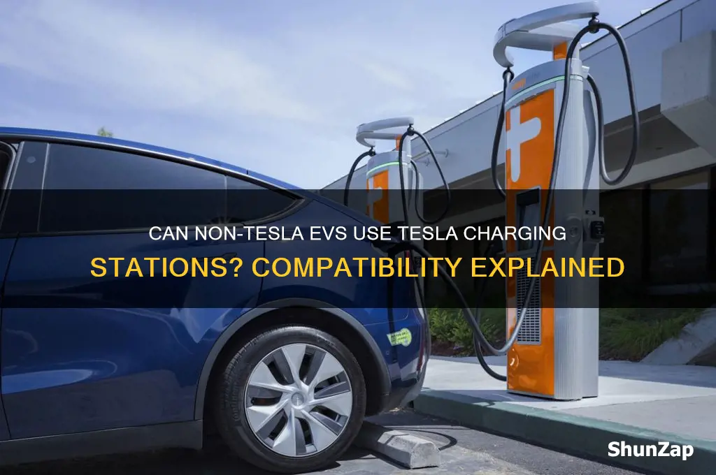 can other electric vehicles use tesla charging stations