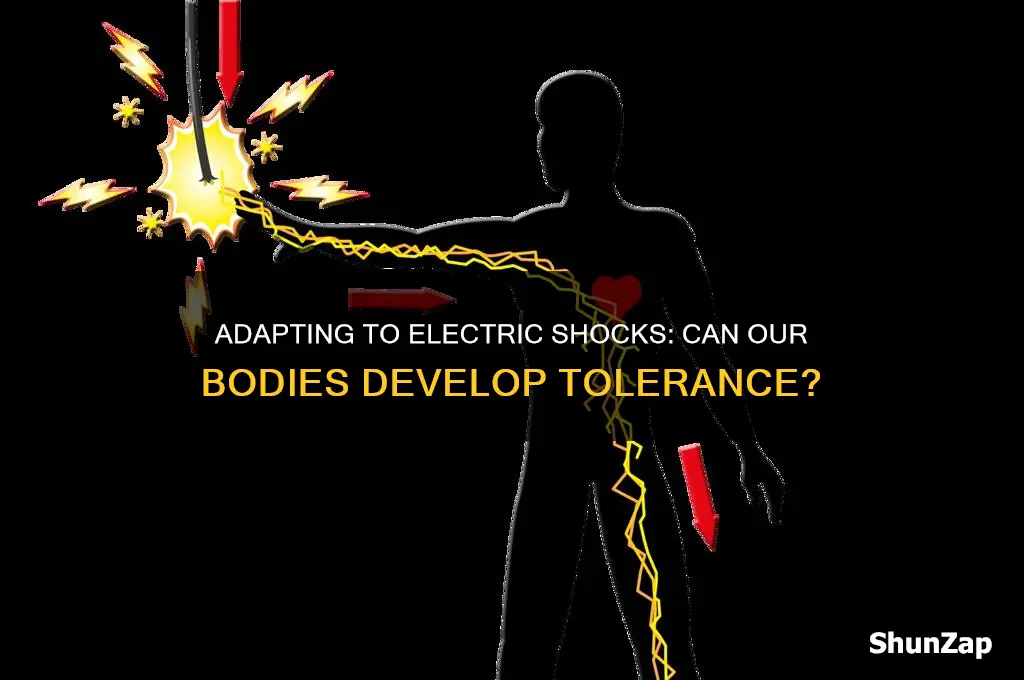 can our body get used to electric shocks