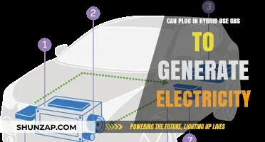 Plug-In Hybrids: Can Gas Power Their Electric Systems?