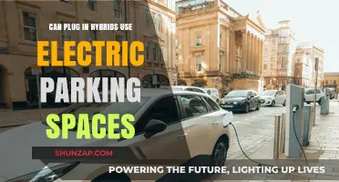 Can Plug-In Hybrids Park in Electric Vehicle Spaces Legally?