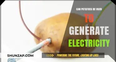 Potatoes Powering Possibilities: Exploring Spuds as Alternative Electricity Sources