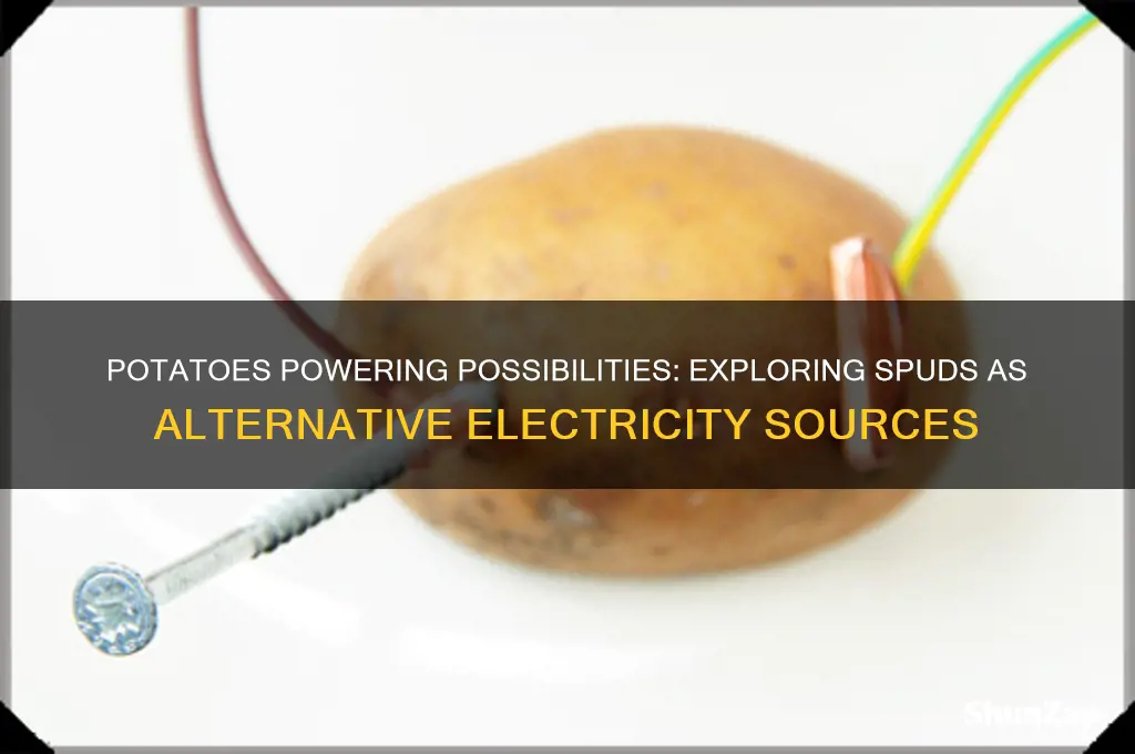can potatoes be used to generate electricity