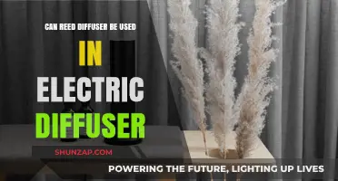 Reed Diffuser vs. Electric Diffuser: Compatibility and Usage Tips