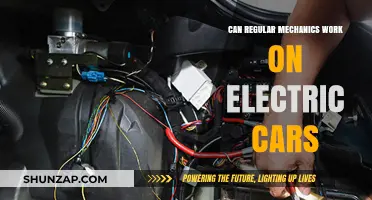 Can Regular Mechanics Handle Electric Car Repairs? What You Need to Know