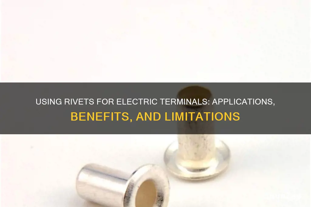 can rivets be used for electric terminal