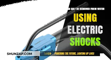 Electric Shocks: A Viable Method to Desalinate Water?