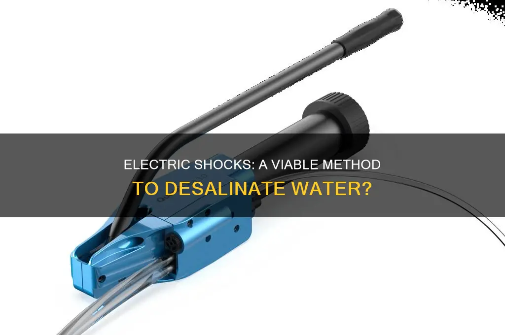 can salt be removed from water using electric shocks