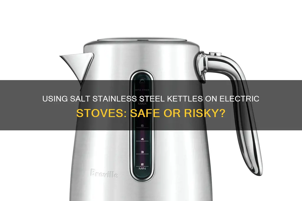 can salt stainless steel kettle be used on electric stove