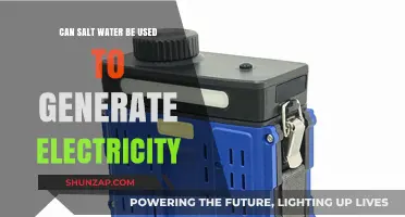 Harnessing Ocean Power: Can Saltwater Generate Electricity Efficiently?