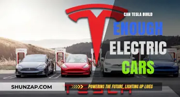 Can Tesla Meet Global Demand for Electric Vehicles?