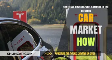 Can Tesla Dominate the Electric Car Market? Strategies for Success