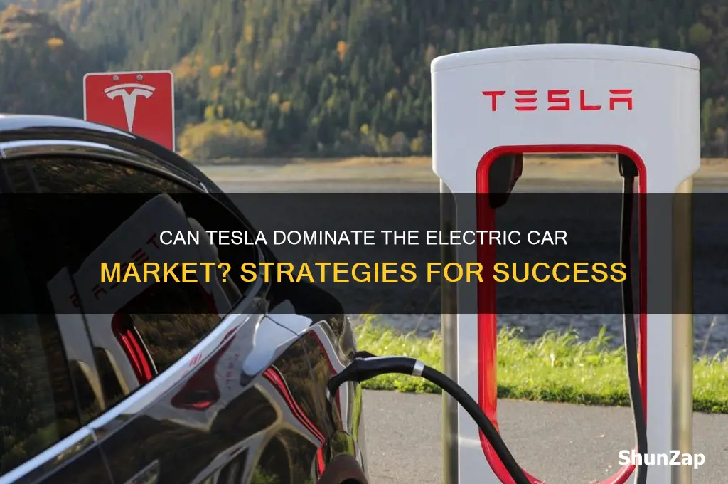 can tesla successfully compete in the electric car market how