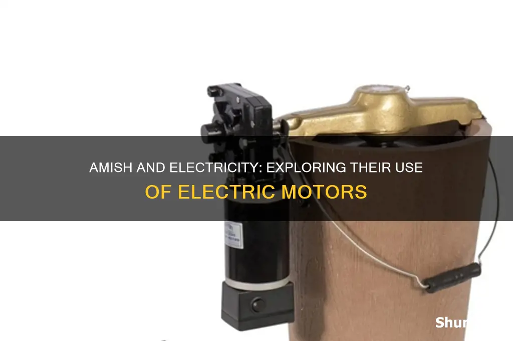 can the amish use electric motors