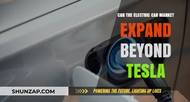 Beyond Tesla: Can Electric Car Market Diversify and Dominate?
