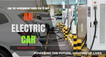 Can Governments Mandate Electric Car Purchases? Legal and Ethical Insights
