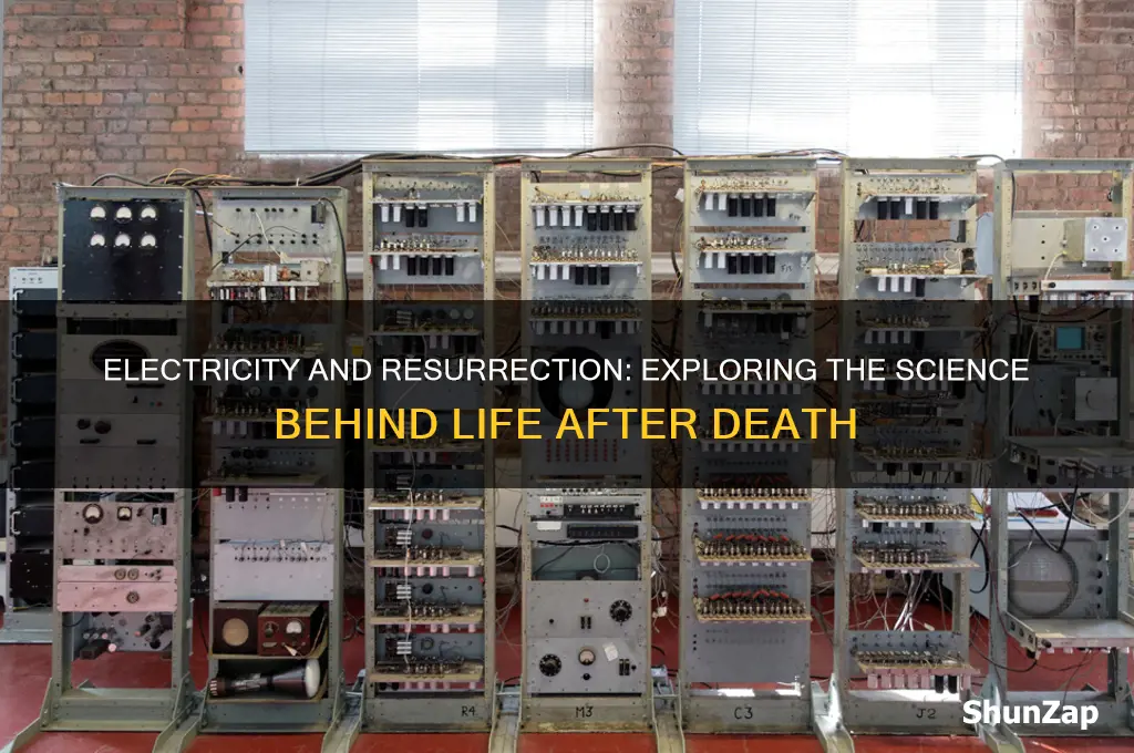 can the use of electricity resurrect people from the dead
