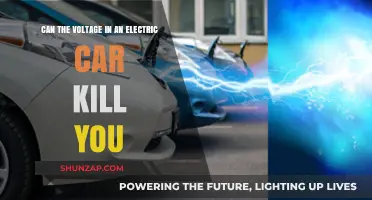 Electric Car Voltage: Can It Be Fatal to Humans?