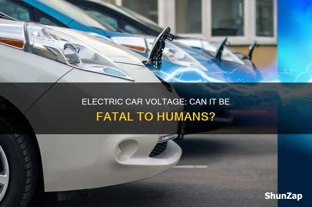 can the voltage in an electric car kill you