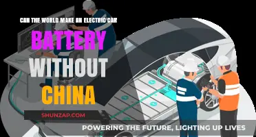 Electric Car Batteries: Can the World Bypass China's Dominance?