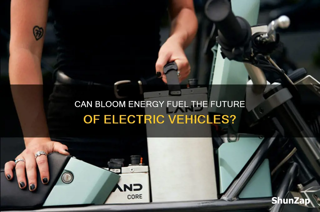 can they use bloom energy in electric cars