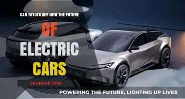 Toyota's Vision: Shaping the Future of Electric Vehicles?
