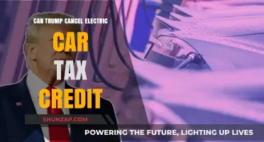 Can Trump Cancel Electric Car Tax Credit? Exploring the Possibility