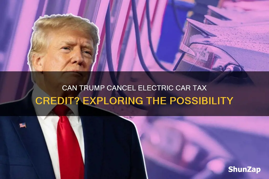 can trump cancel electric car tax credit