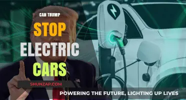 Can Trump Halt the Electric Car Revolution? Analyzing Policies and Impact