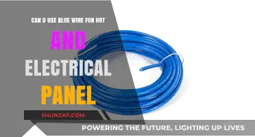 Using Blue Wire for Hot in Electrical Panels: Safe or Risky?