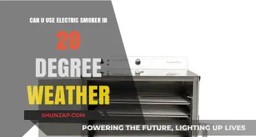Smoking in the Cold: Using Electric Smokers at 20 Degrees