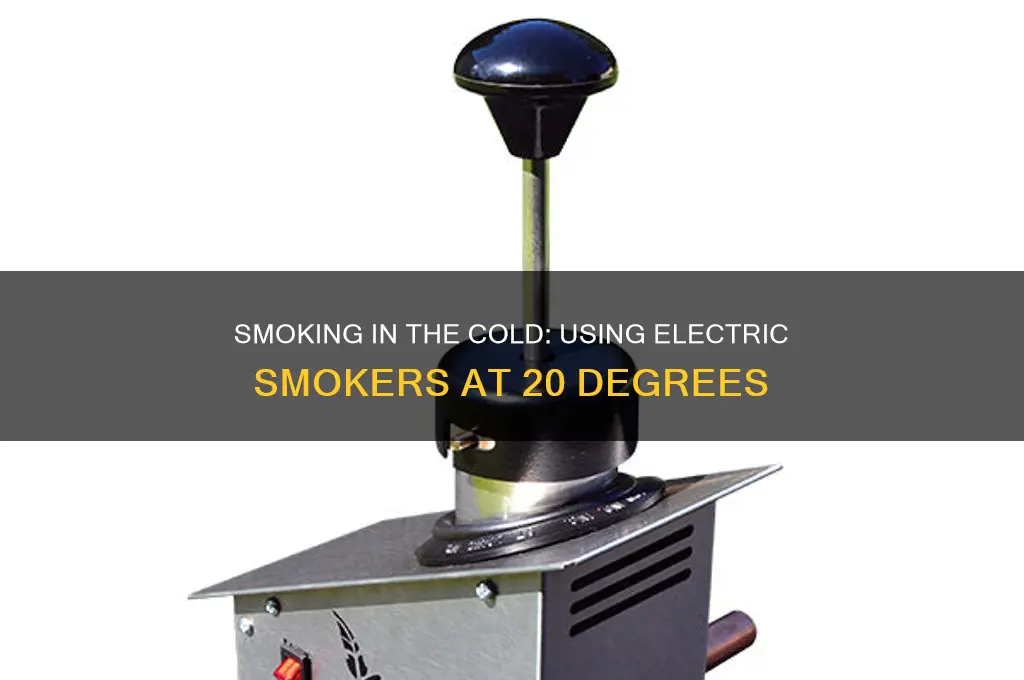 can u use electric smoker in 20 degree weather
