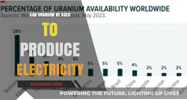 Unlocking Energy: Can Uranium Power Our Electrical Future?