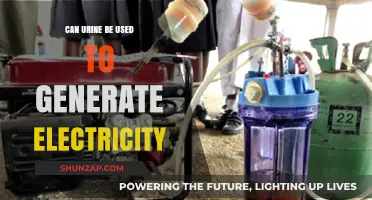 Can Urine Power the Future? Exploring Electricity Generation from Waste