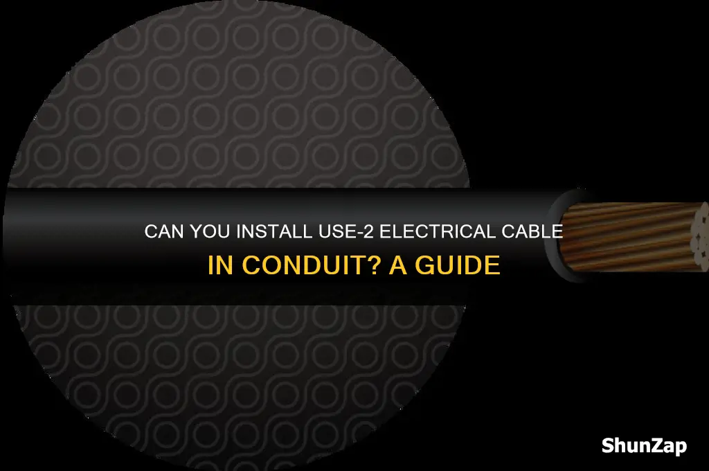 can use-2 electrical cable be put in conduit