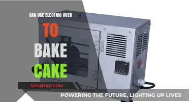 Baking Cakes in an Electric Oven: Tips, Tricks, and Perfect Results