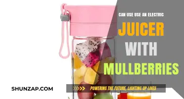 Juicing Mulberries: Can an Electric Juicer Handle the Task?