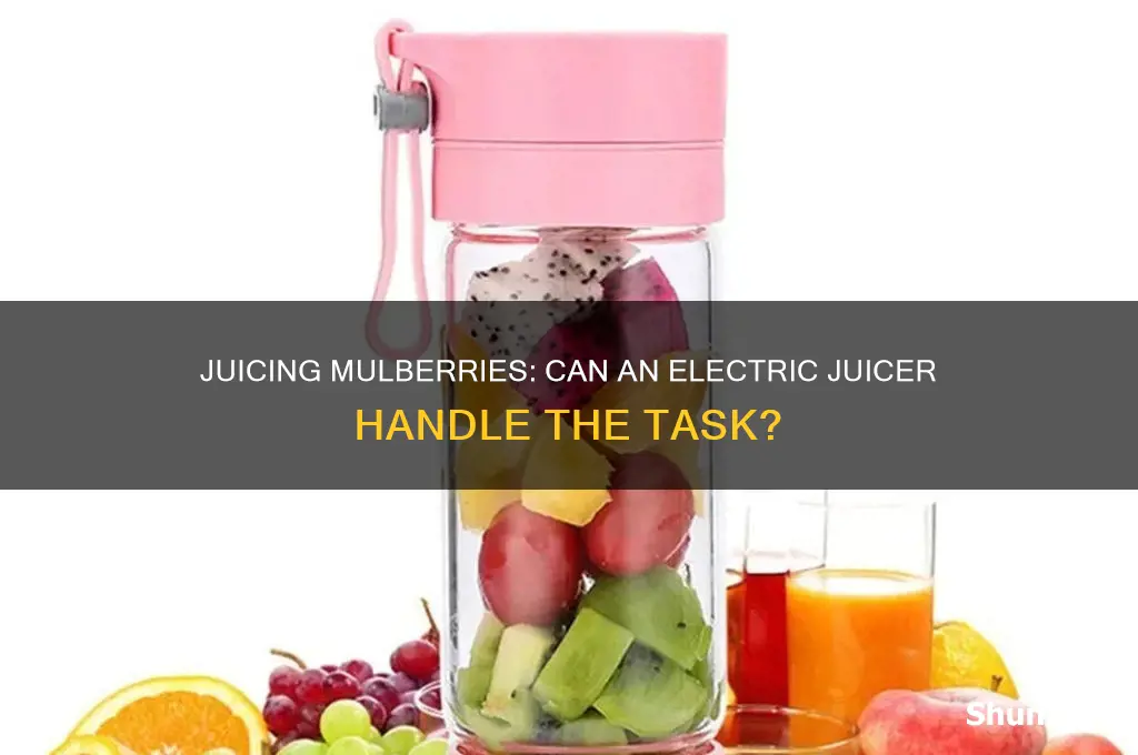 can use use an electric juicer with mullberries