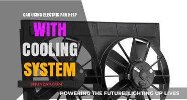 Electric Fans and Cooling Systems: Enhancing Efficiency or Just Circulating Air?