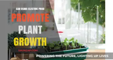 Electric Prods and Plant Growth: Unlocking Potential or Myth?