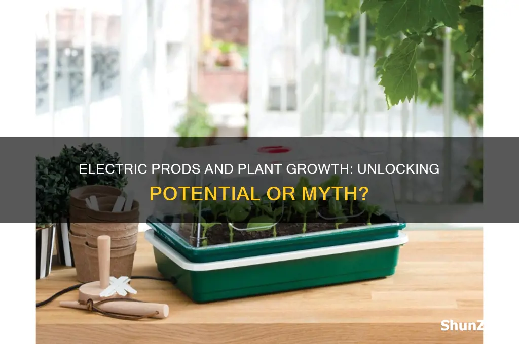 can using electric prod promote plant growth