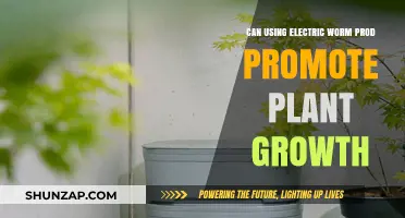 Electric Worm Prods: Unlocking Enhanced Plant Growth Potential?
