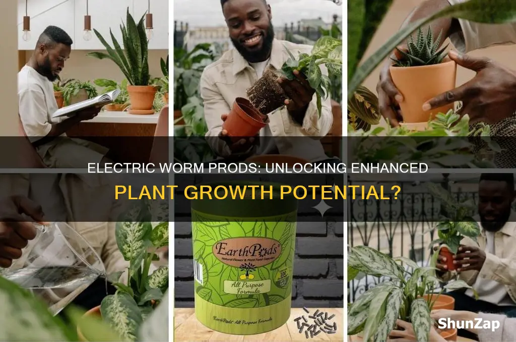 can using electric worm prod promote plant growth