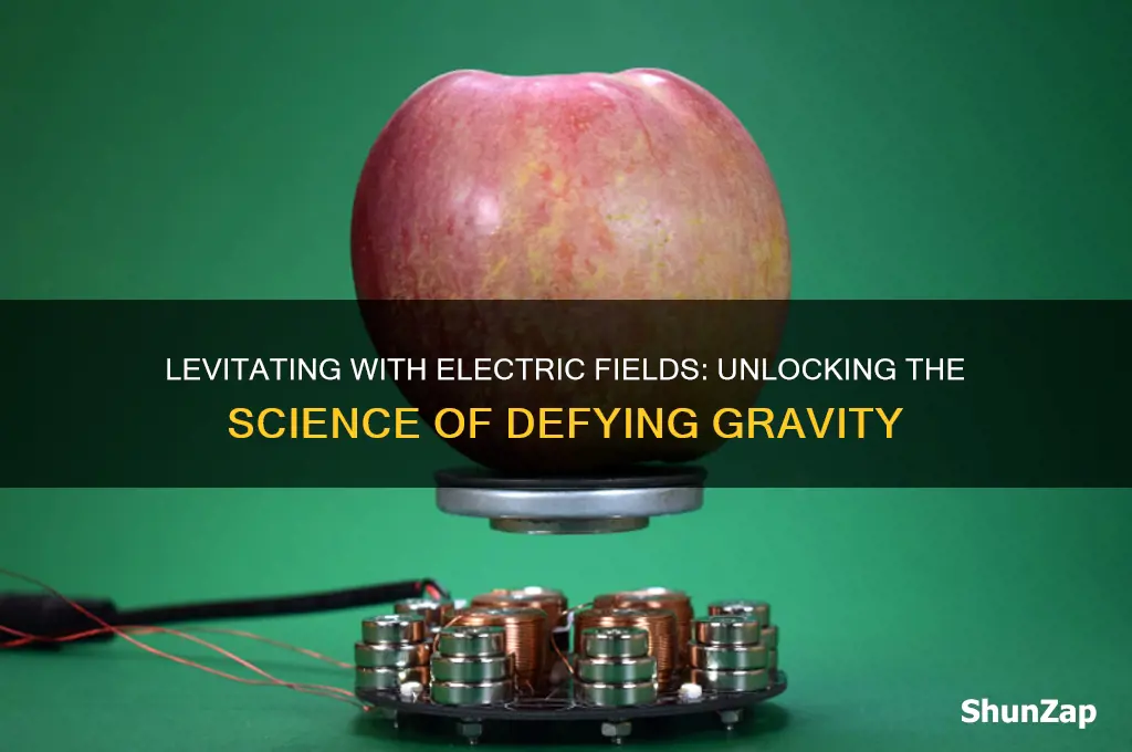 can we use electric fields to levitate