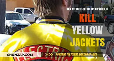 Using Electric Fly Swatters to Kill Yellow Jackets: Effective or Risky?