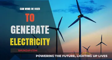 Harnessing Wind Power: How Turbines Generate Clean, Renewable Electricity