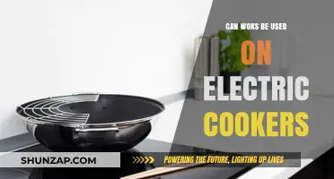 Using Woks on Electric Cookers: Tips, Compatibility, and Best Practices