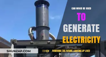 Harnessing Wood Power: Can Timber Generate Electricity Efficiently?